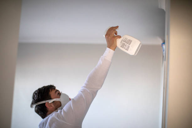 Best Professional Mold Removal  in Washington, KS