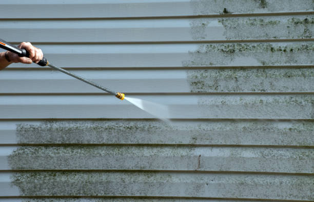 Home Mold Removal in Washington, KS
