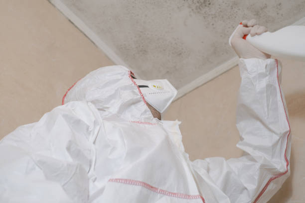 Best Mold Remediation  in Washington, KS