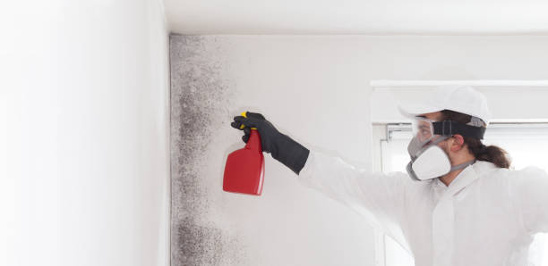 Best Mold Inspection  in Washington, KS
