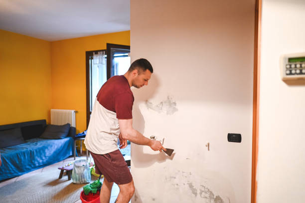 Best Residential Mold Removal  in Washington, KS