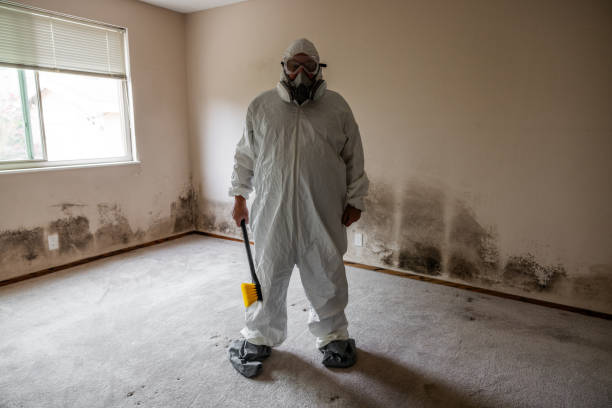 Best Mold Removal Company Near Me  in Washington, KS