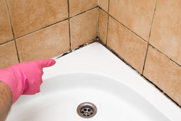 Best Mold Remediation  in Washington, KS